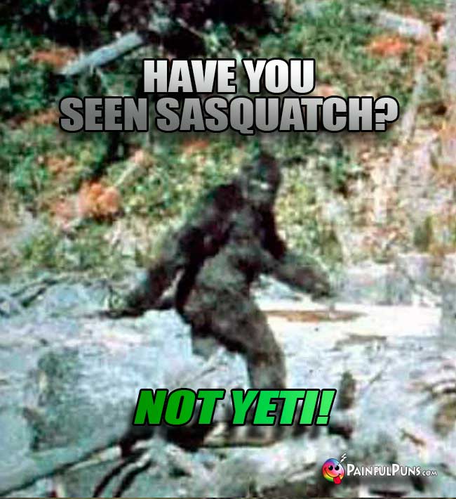 Q. Have you seen Sasquatch? A. Not Yeti!