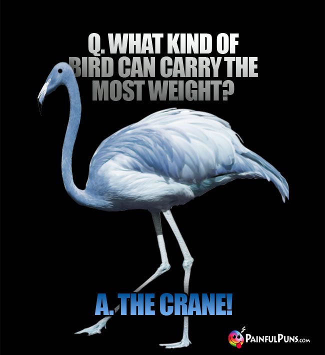 Q. What kind of bird can carry the most weight? A. The Crane!