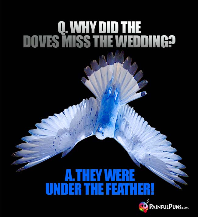 Q. Why did the doves miss the wedding? A. they were under the feather!
