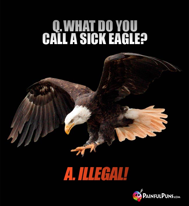 Q. What do you call a sick eagle? A. Illegal!