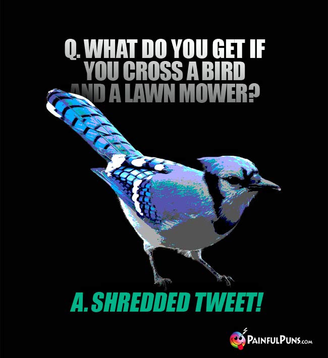 Q Wht do you get if you cross a bird and a lawn mower? a. Shredded Tweet!