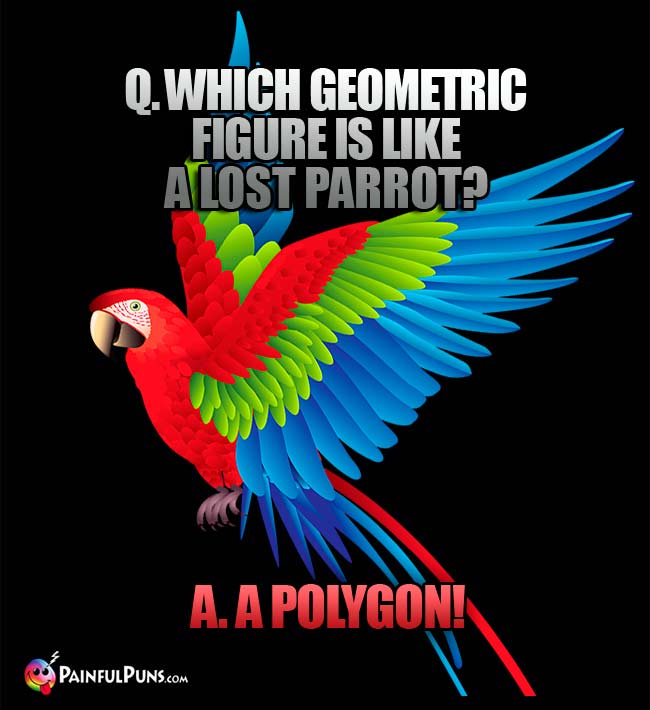 Q. Which geometric figure is like a lost parrot? a. a Polygon1