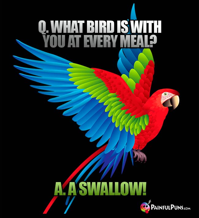 Q. What bird is with you at every meal? a. A Swallow!