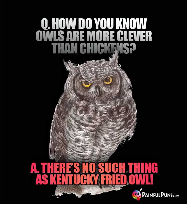 Q. How do you know owls are more clever than chickens? A. There's no such thing as Kentucy Fried Owl!