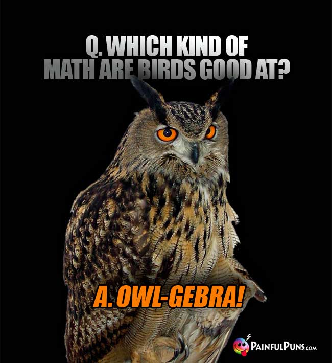 Q. Which kind of math are birds good at? a. Owl-Gebra!