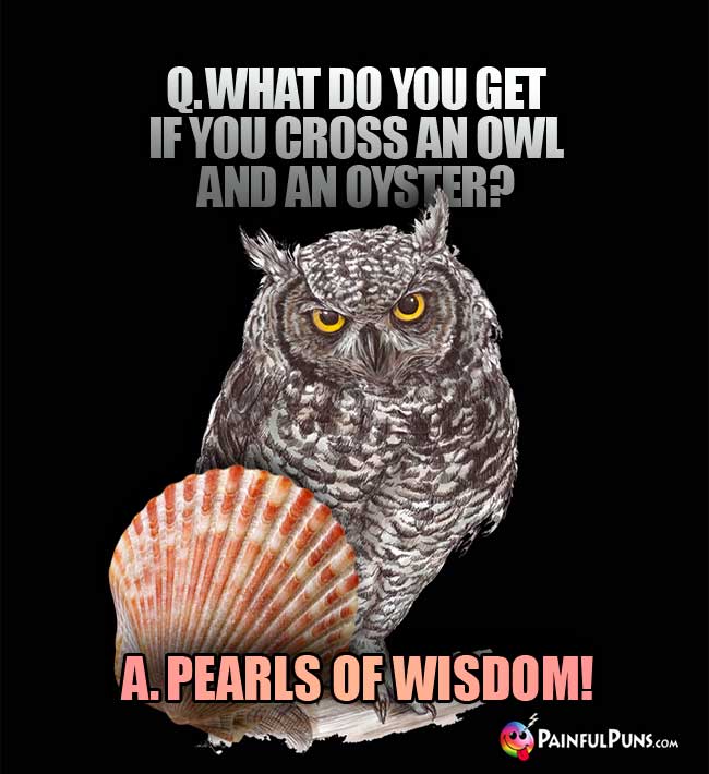 Q.  What do you get if you cross an owl and an oyster? A. Pearls of Wisdom!