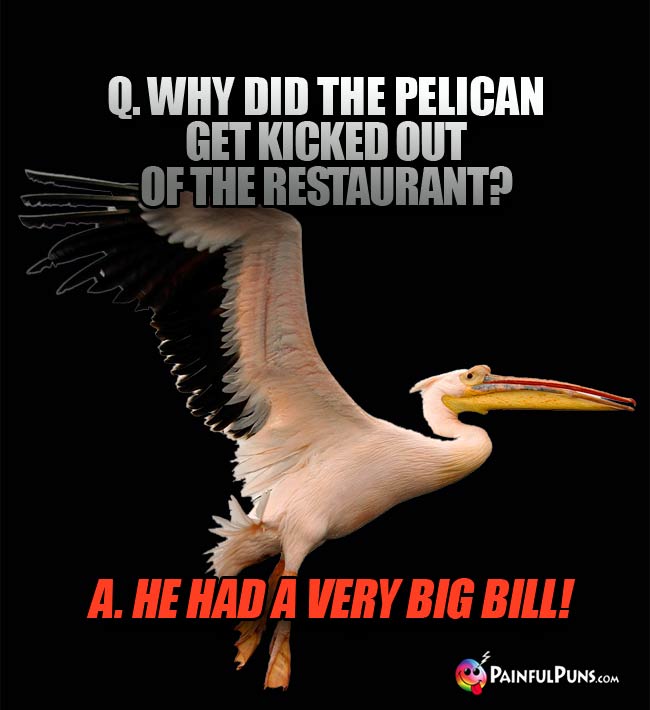 Q. Why did the pelican get kicked out of the restaurant? a. He had a very big bill!