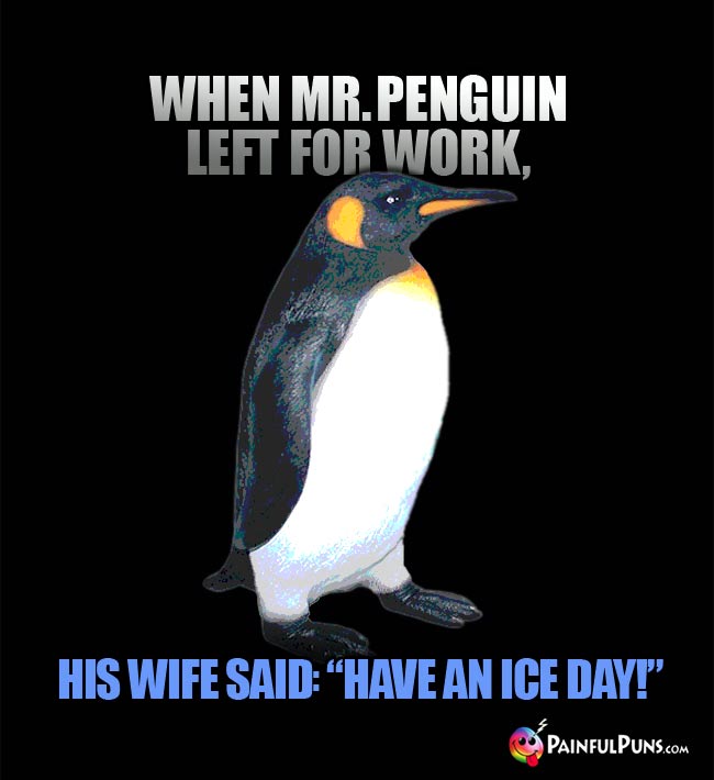 When Mr. Penguin left for work, his wife said: "Have an ice day!"