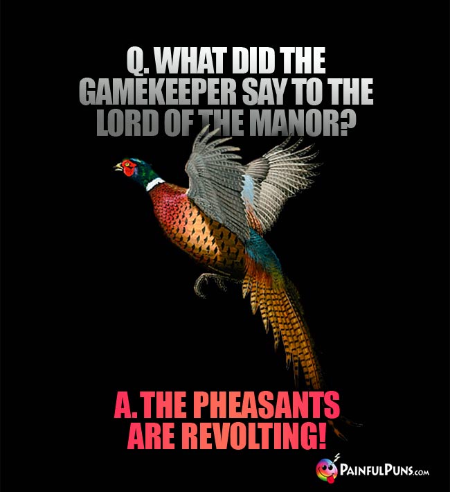 Q. What did the gamekeeper say to the lord of the maor? A. The pheasants are revolting!