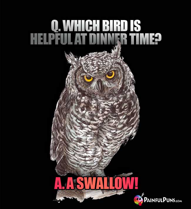 Q.. Which bird is helful at dinner time? a. a Swallow!