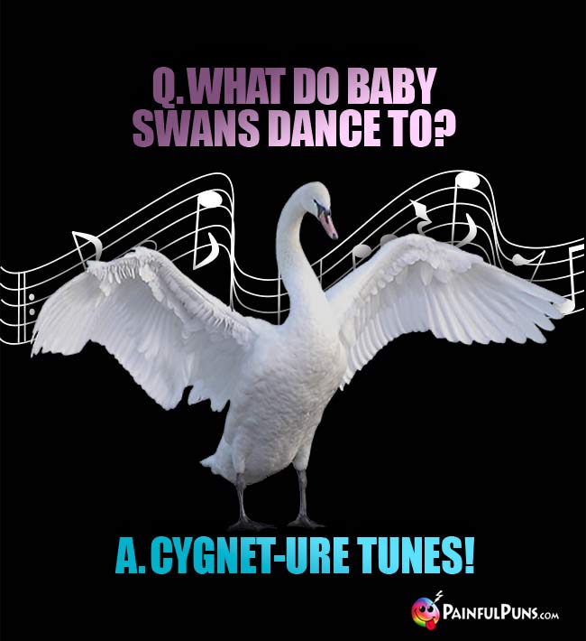 Q. What do baby swans dance to? A. Cygnet-ure tunes!