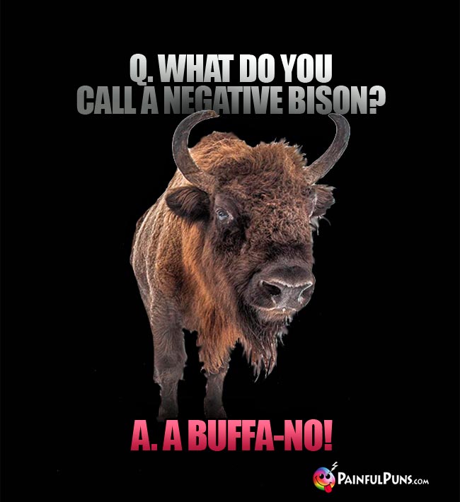 Q. What do you call a negative bison? A. A buffa-no!