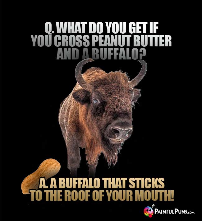 Q. What do you get if you cross peanut butter and a buffalo? A. A buffalo that sticks to the roof of your mouth!