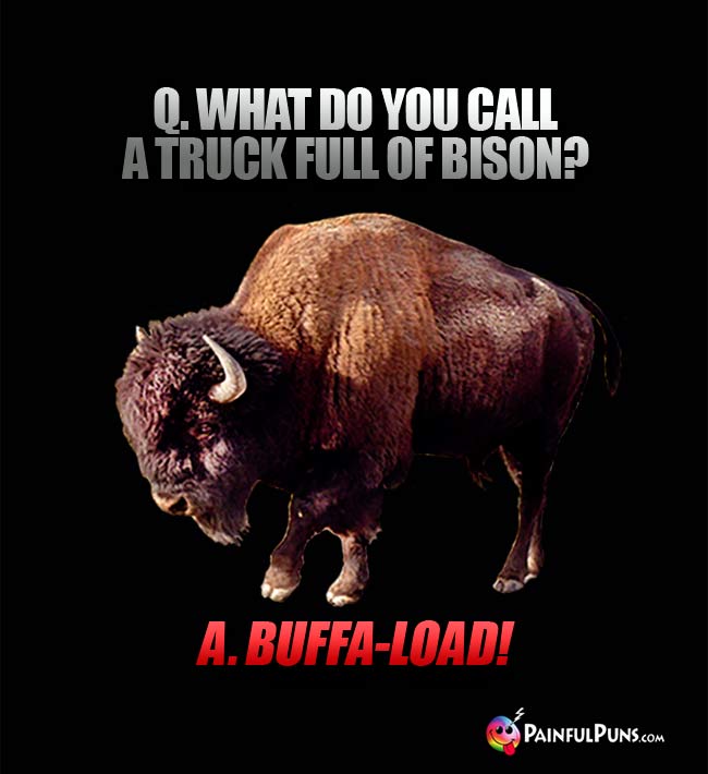 Q. What do you call a truck full of bison? A. Buffa-load!