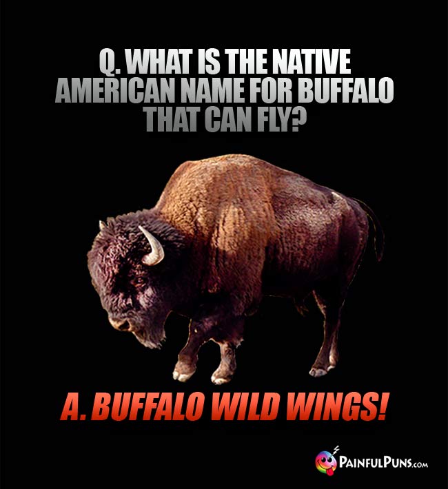 Q. What iQ. the Native American name for buffalo that can fly? A. Buffalo Wild Wings!