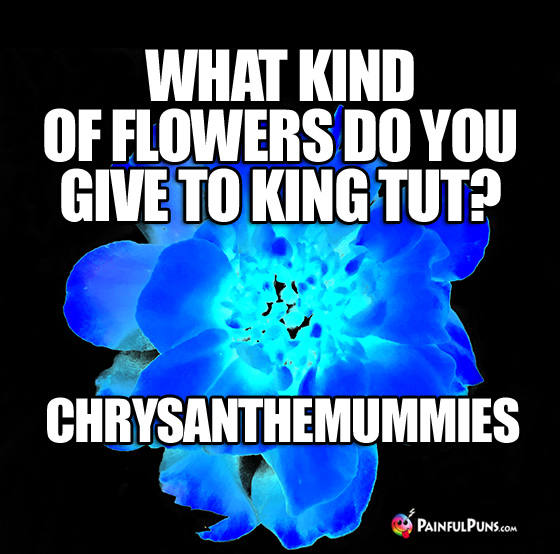 Dead Riddle: What kind of flowers do you give to King Tut? Chrysanthemummies.