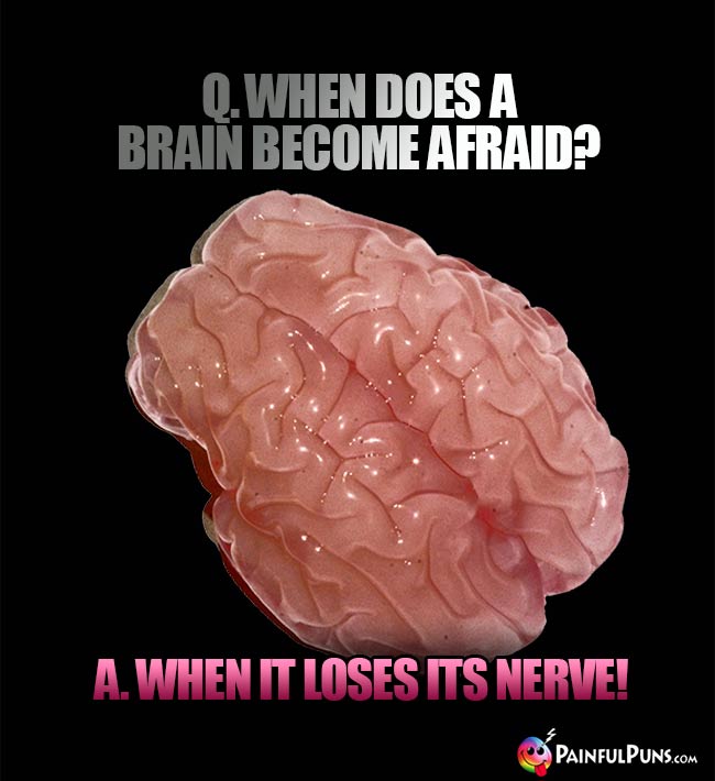 Q. When does a brain become afraid A. When it loses its nerve!