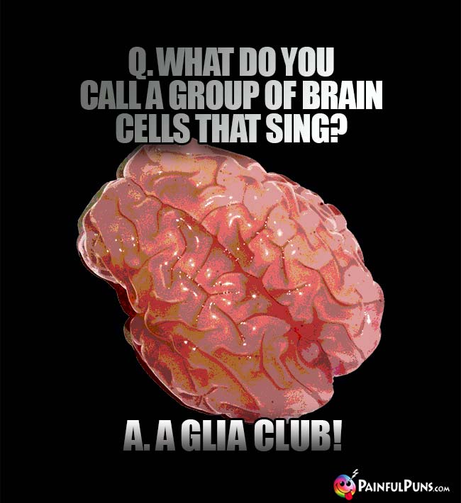 Q. What do you call a group of brain cells that sing? A. A glia club!