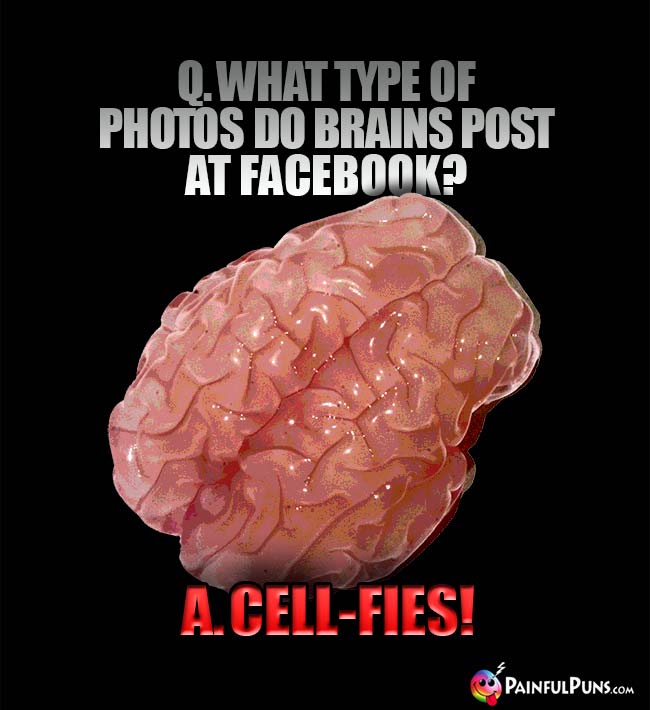 q. What type of photos do brains post at Facebook? A. Cell-fies!