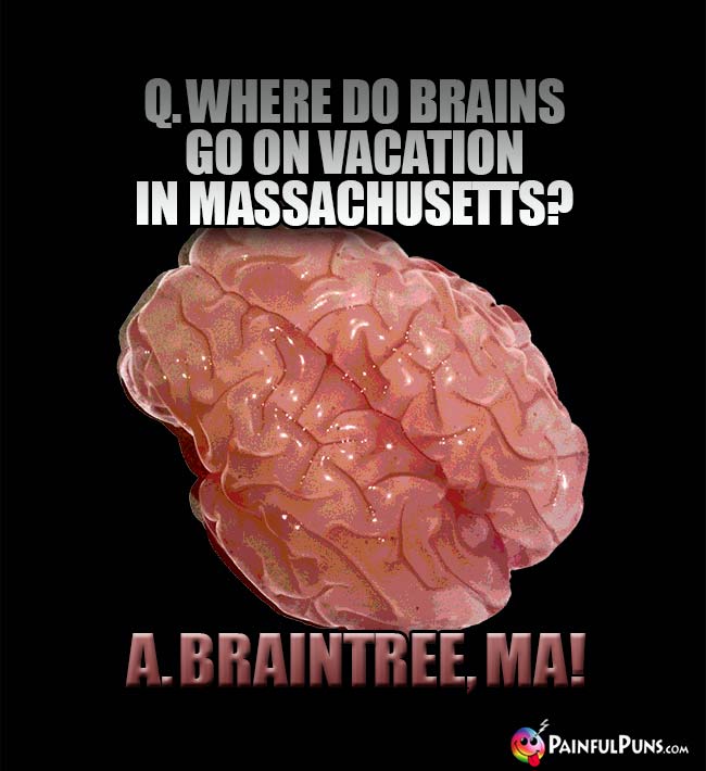Q. Where do brains go on vacation in Massachusetts? A. Braintree, MA!