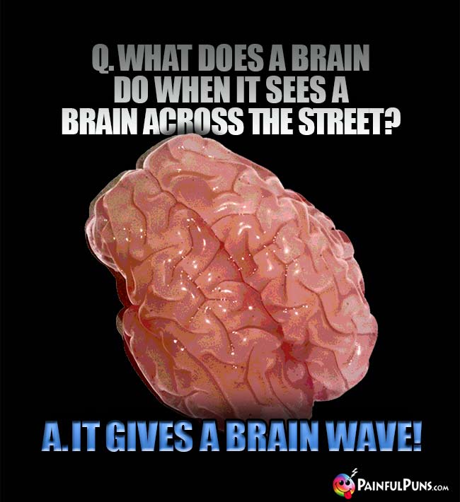 Q. What does a brain do when it sees a brain across the street? A. It gives a brain wave!