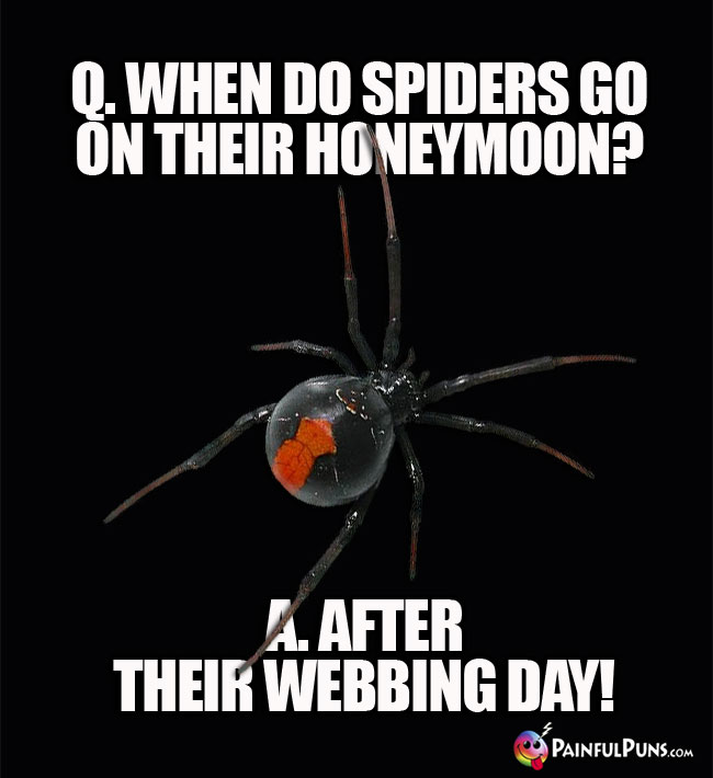 Q. When do spiders go on their honeymoon? A After their webbing day!
