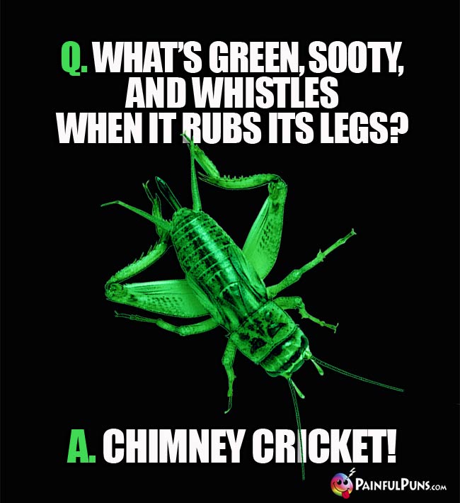 Q. What's green, sooty, and whistles when it  rubs its legs? A. Chimney Cricket!