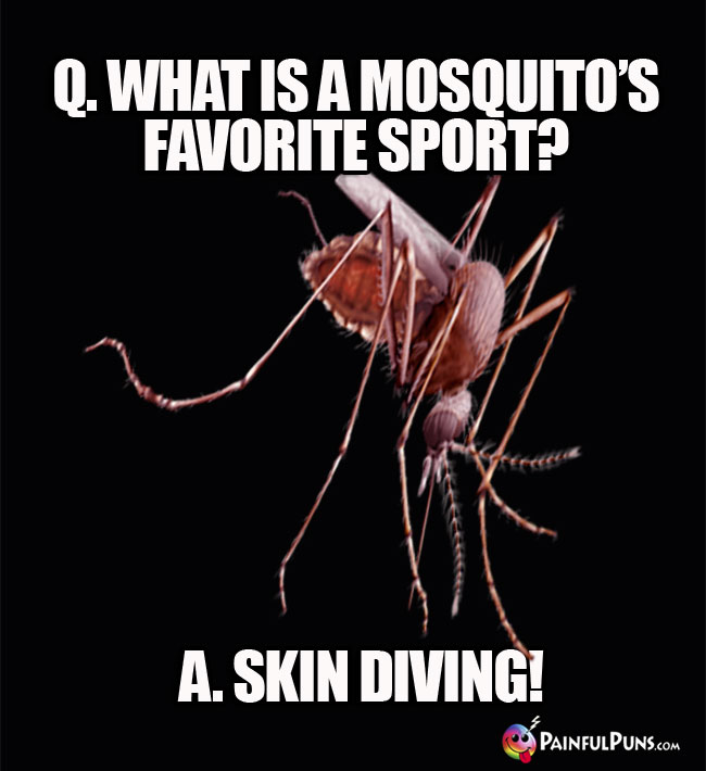 Q. What is a mosquito's favorite sport? A. Skin Diving!