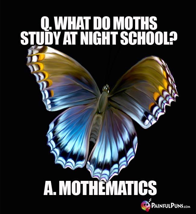 Q. What do moths study at night school? A. Mothematics.