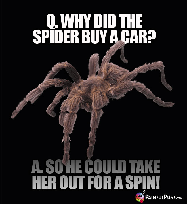 Q. Why did the spider buy a car? A. So he could take her out for a spi!