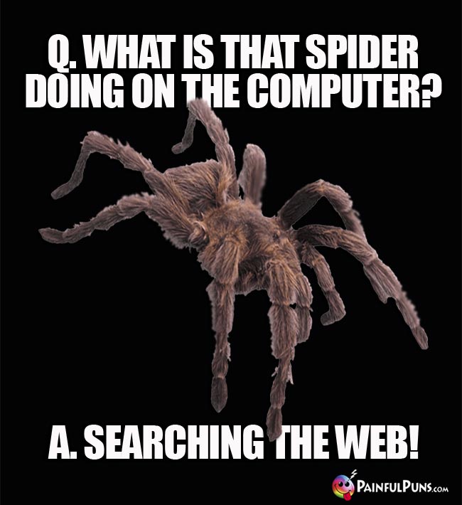Q. What is that spider doing on the computer? A. Searching the Web!