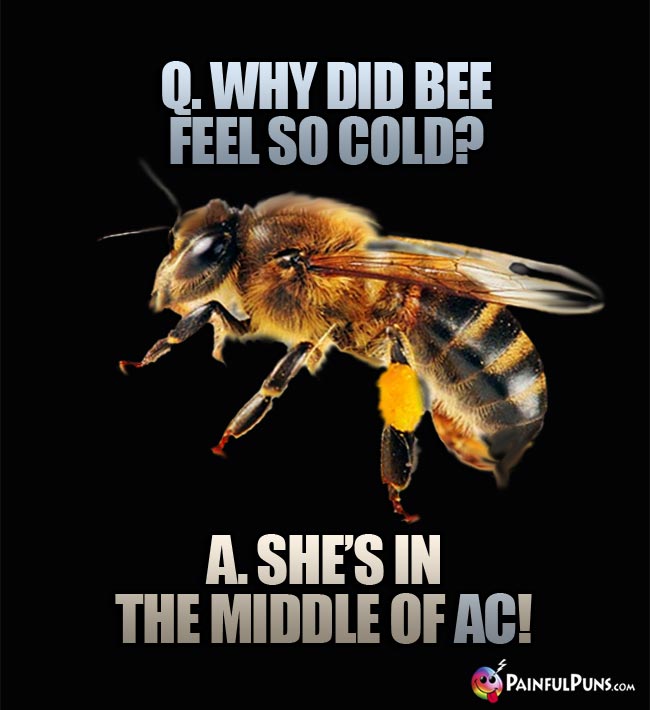 Q. Why did bee feel so cold? A. She's in the middle of AC!