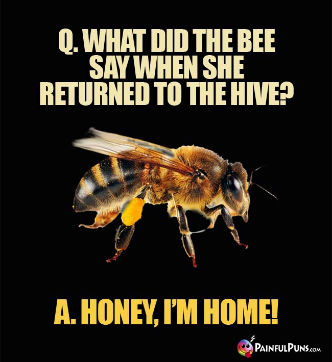 Q. What did the bee say when she returned to the hive? a. Honey, I'm Home!