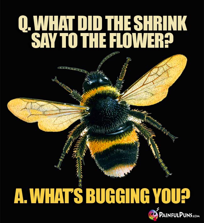 Q. What did the shrink say to the flower? A. What's bugging you?