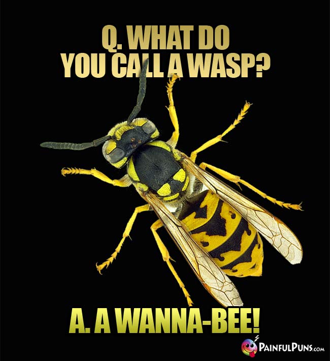 Q. What do you call a wasp? A. A Wanna-Bee!