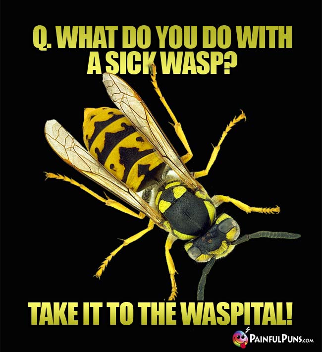 Q. What do you do with a sick wasp? A. Take it to the waspital!