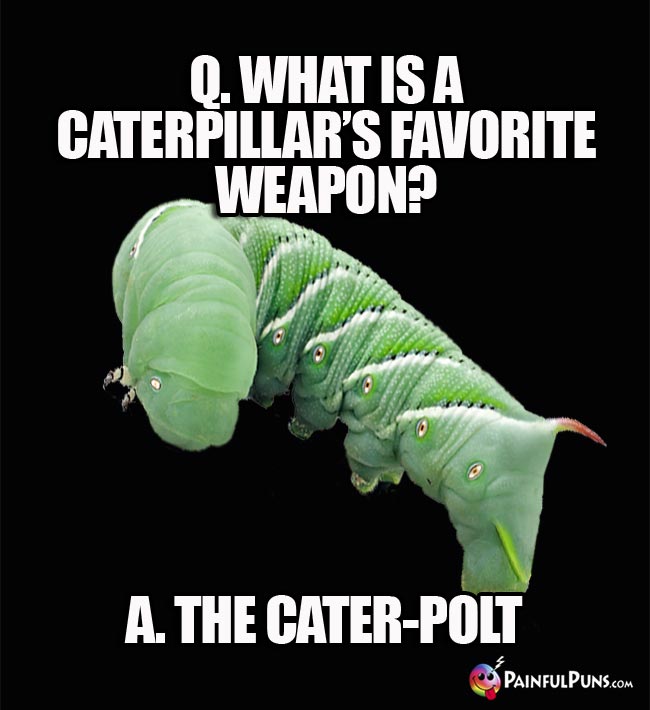 Q. What is a caterpillar's favorite weapon? A. The Cater-Polt.