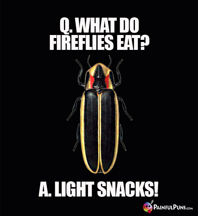 Q. What do fireflies eat? A. Light snacks!