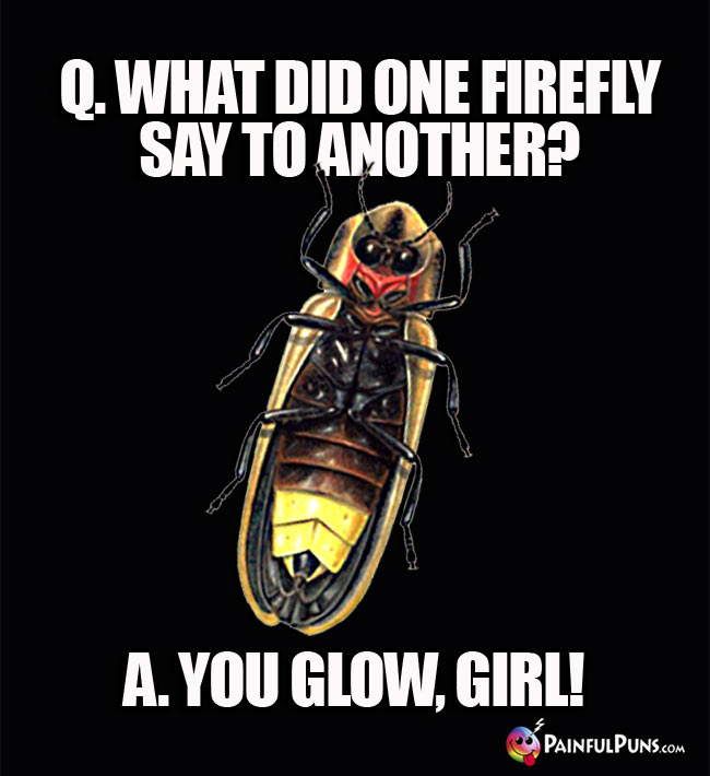 Q. What did one firefly say to another? A. You glow, girl!