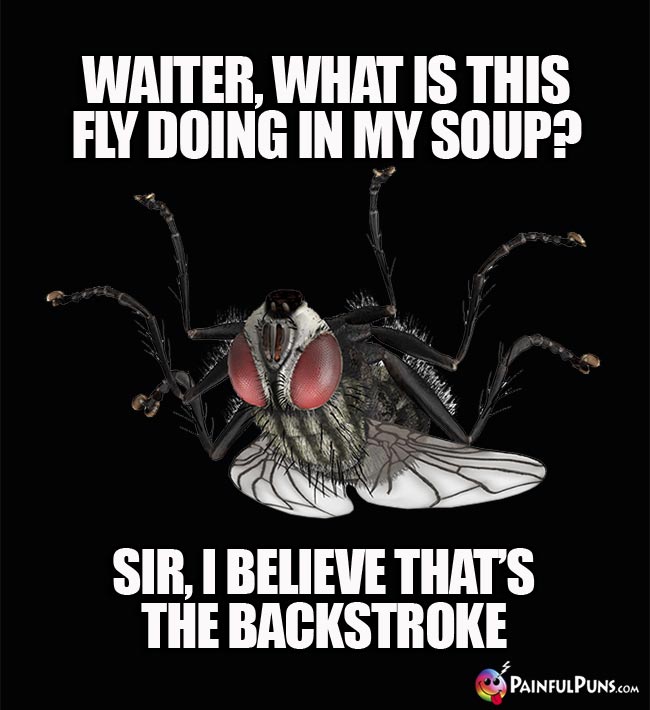 Waiter, what is this fly doing in my soup? Sir, I believe that's the backstroke.