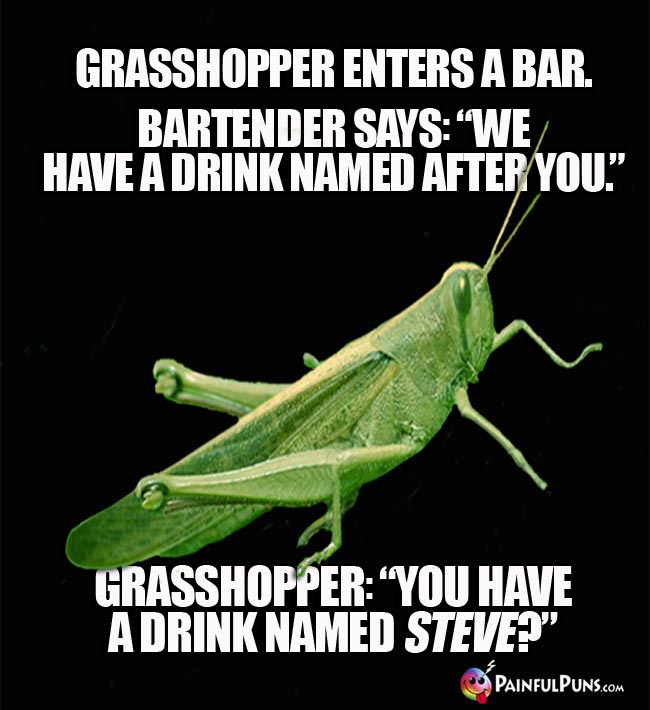 Grasshopper enters a bar. Bartender says: "We have a drink named after you." Grasshopper: "You have a drink named steve?"