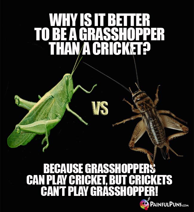 Q. Why is it better to be a grasshopper than a cricket? A. because grasshoppers can play cricket, but crickets can't play grasshopper!