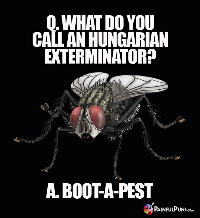Q. What do you call an Hungarian exterminator? a. Boot-A-Pest.