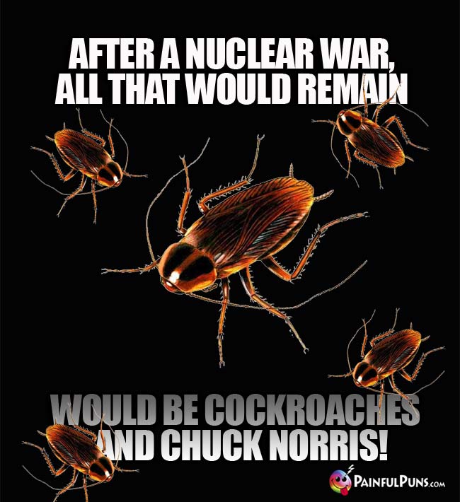 After a nuclear war, all that would remain would be cockroaches and Chuck Norris!