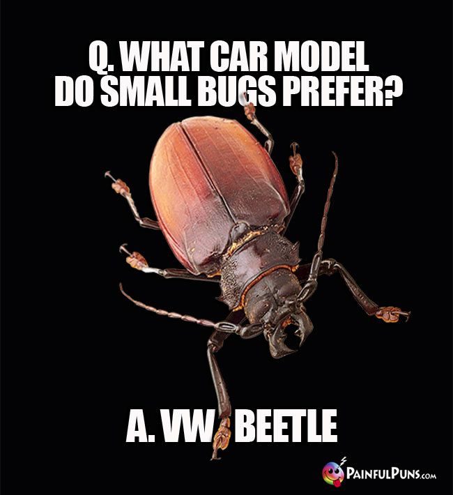 Q. What car model do small bugs prefer? a. VW Beetle.