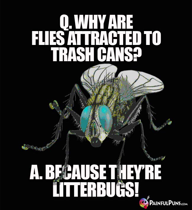 Q. Why are flies attracted to trash cans? A. Because they're litterbugs!