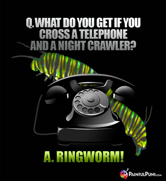 Q. What do you get if ;you cross a telephone and a night crawler? A. Ringworm!