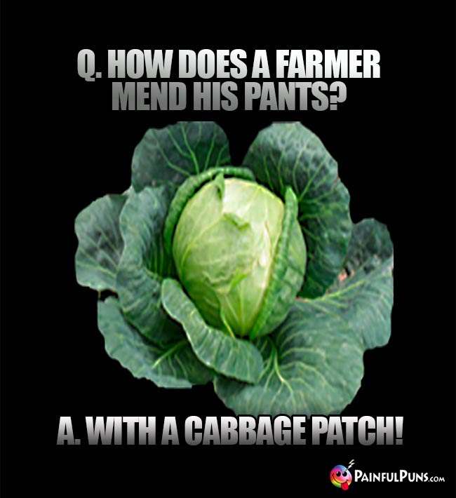 Q. How does a farmer mend his pants? A. With a cabbage patch!