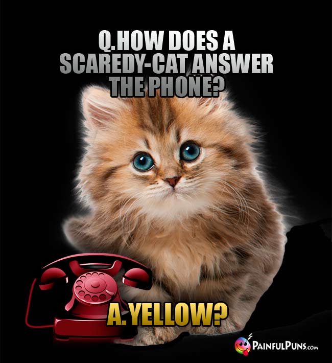 Q. How does a scaredy-cat answer the phone? a. Yellow?