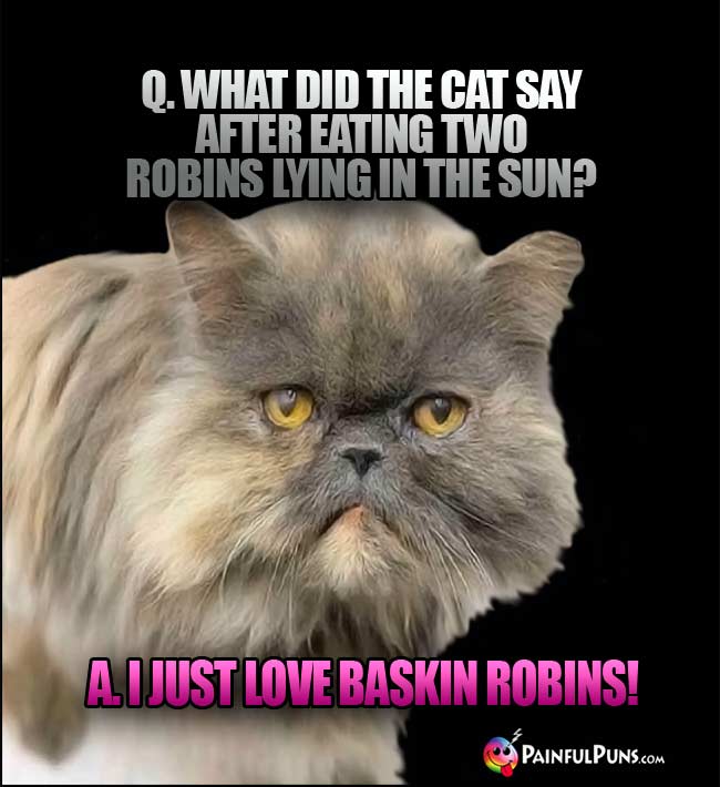 q. What did the cat say after eating two robins ying in the sun? A. I just love Baskin Robins!